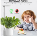 Mini Hydroponics Growing System